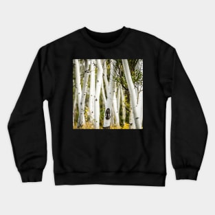 Beautiful pictures - Apen Trees Crewneck Sweatshirt